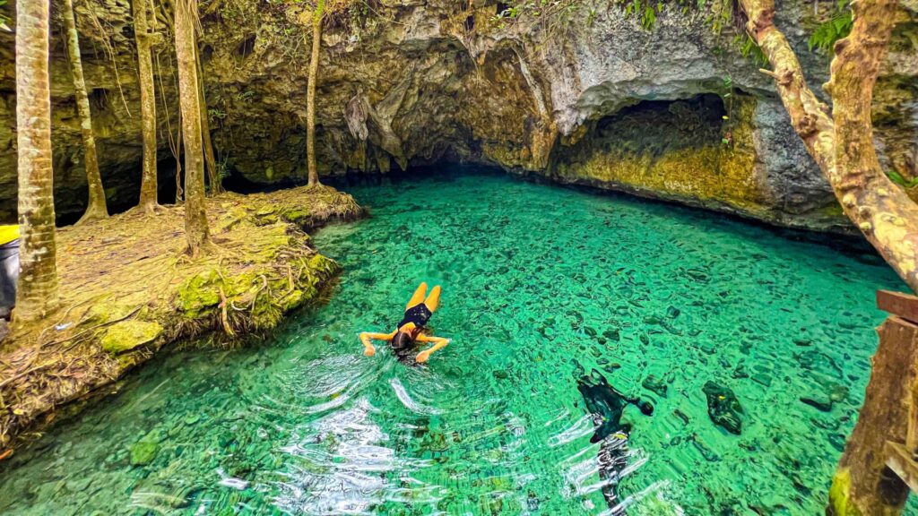 Snorkeler with yellow fins in crystal-clear green cenote water surrounded by limestone cave walls and lush jungle vegetation overhead.