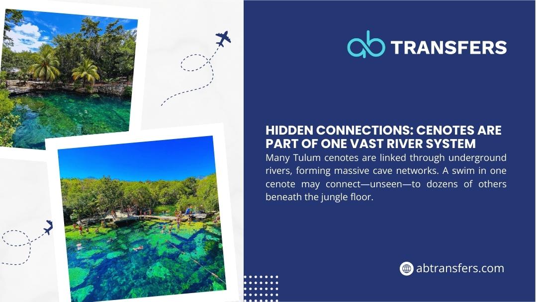 Multiple interconnected cenotes with crystal-clear turquoise water in Tulum jungle, showing underground river system connecting caves beneath the forest.