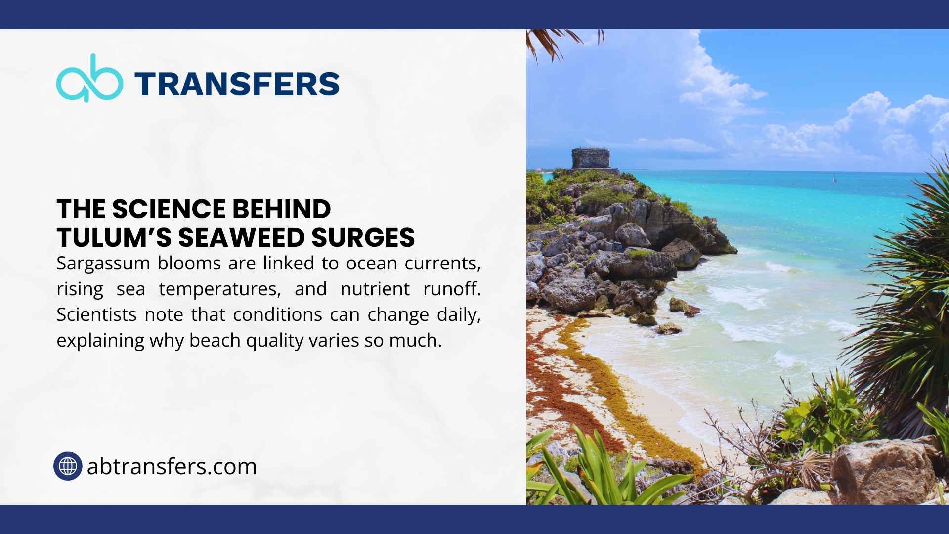 Tulum beach with sargassum seaweed on sandy shore and turquoise ocean; infographic about science behind Tulum's seaweed surges.