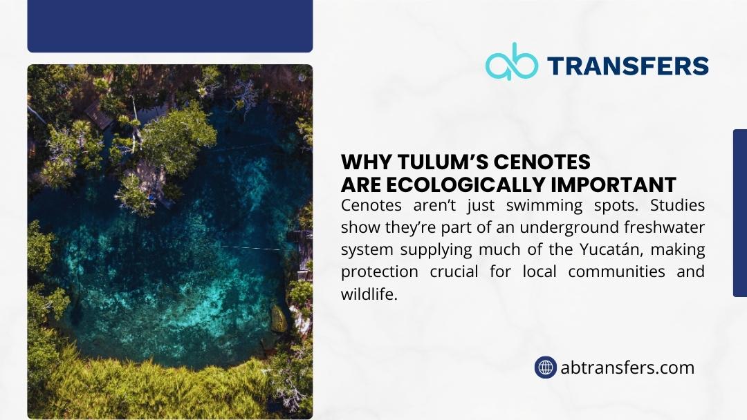 Aerial view of Tulum cenote with turquoise freshwater pool surrounded by jungle vegetation; infographic about ecological importance.