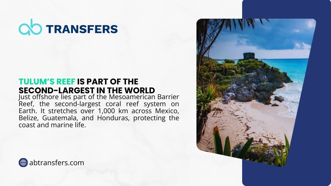 Tulum coastline with ancient ruins on rocky cliffs above turquoise Caribbean waters, part of the Mesoamerican Barrier Reef, the world's second-largest reef.