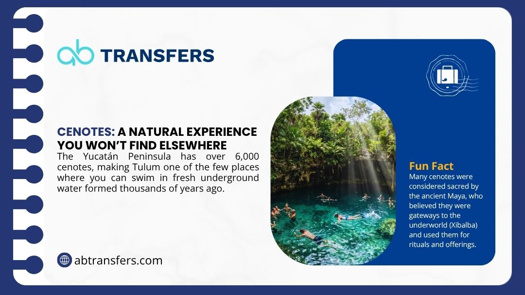 Swimmers in a sunlit Tulum cenote surrounded by jungle, one of 6,000+ unique underground freshwater experiences on the Yucatán Peninsula.